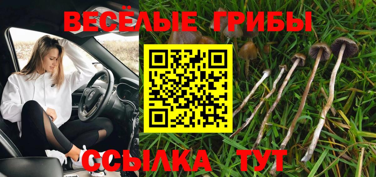 Екатеринбург  Галлюциногенные грибы мицелий  Вход с VPN 