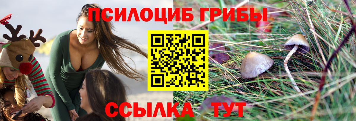 Псилоцибиновые грибы Cubensis Екатеринбург